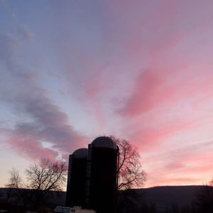 Meet your Posher, Janet